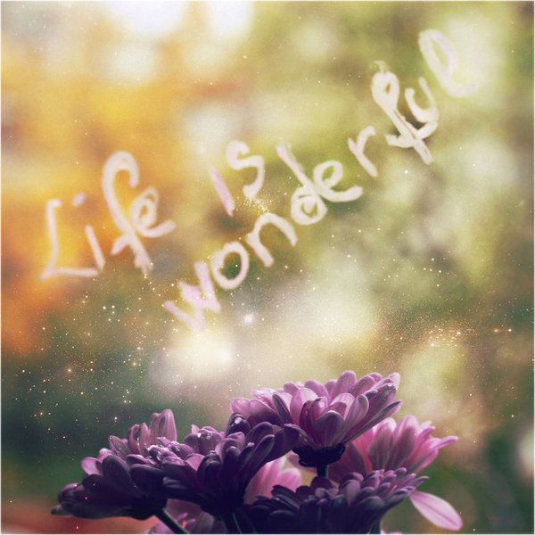 life_is_wonderful_by_ineedchemicalx.jpg